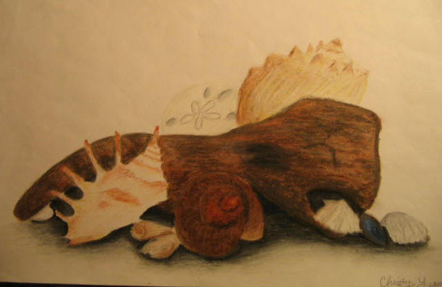 Shell Scape Sea Shell Scape by greydaze06 on DeviantArt