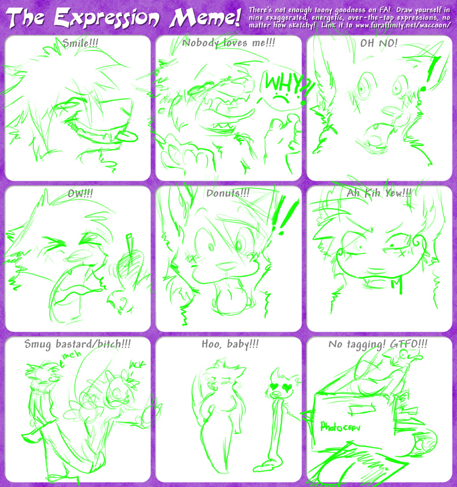 expression meme