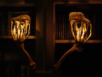 Skull Lanterns