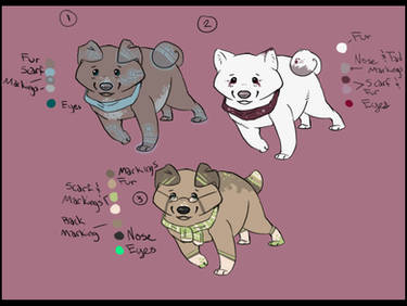 Puppy Adoptable Auction