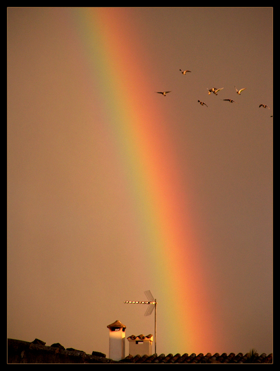 Arco Iris