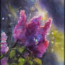 Wet Lilacs