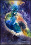 Card7 Peacock by EarlyOctober
