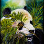 Card8 Panda Bear