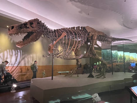 Chicago Museum Sue The T. rex
