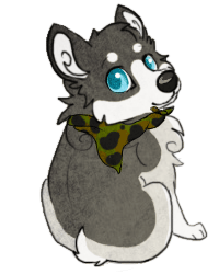 Deviantart Coy Coy by dalmatier on DeviantArt