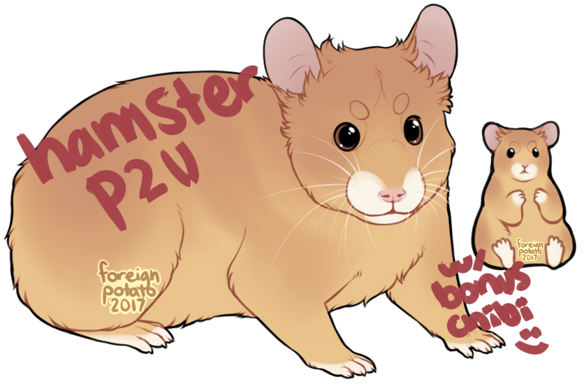 P2U Hamster Base