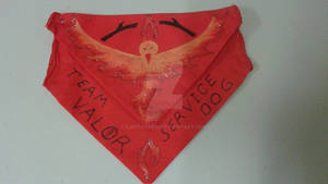 PG Valor Service Dog Bandana