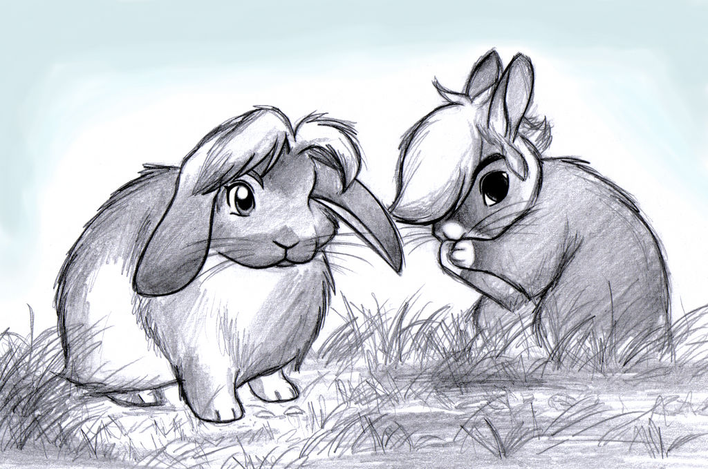 Time and Wind Rabbits by BlueLink on DeviantArt