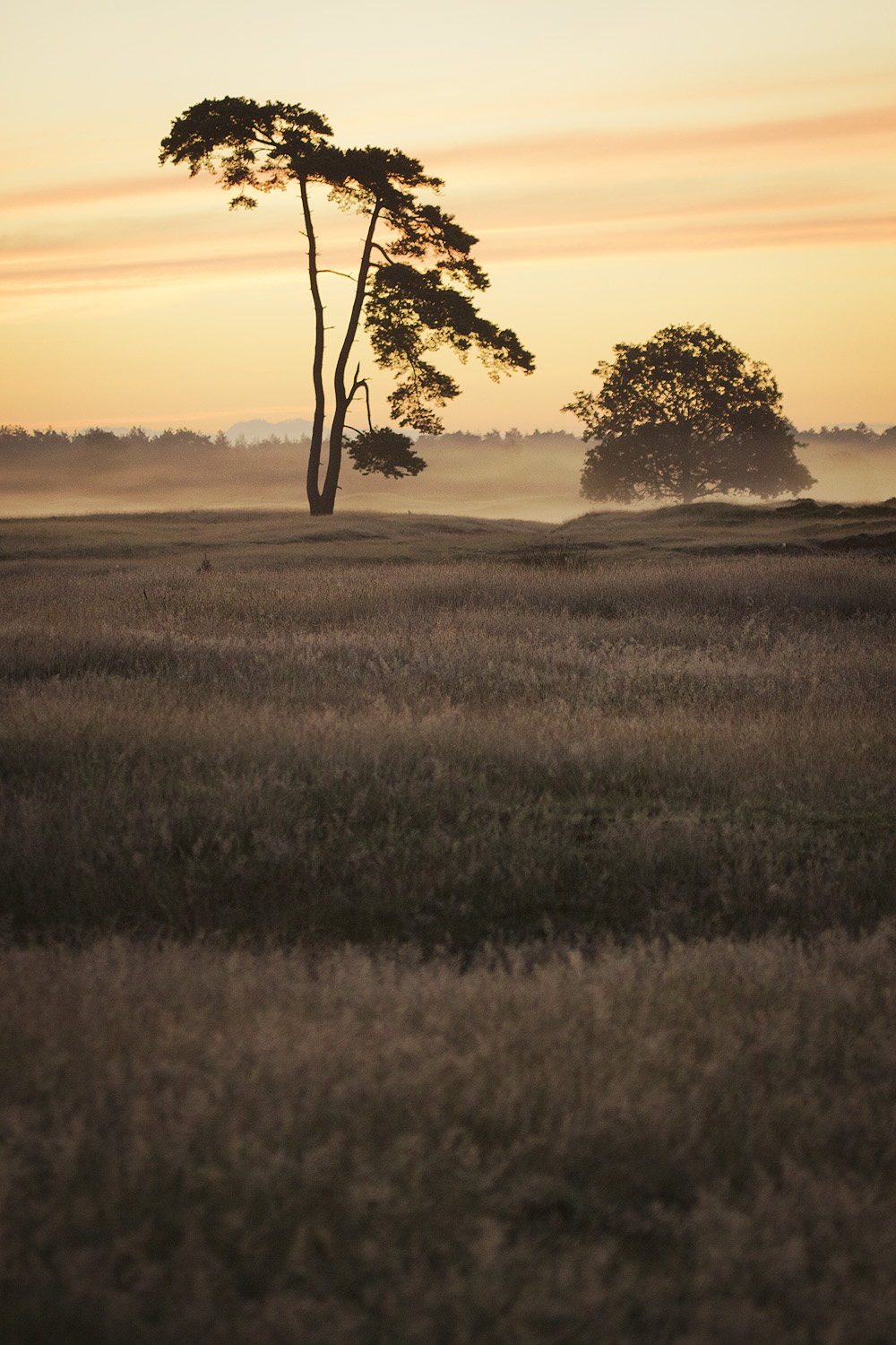 Morning silence