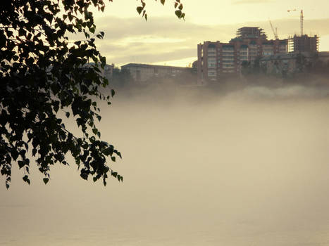 Fog Over The River