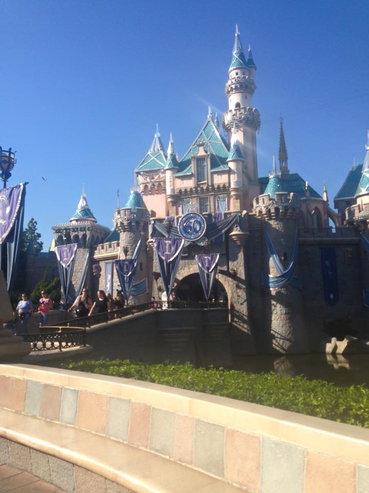 Disneyland Sleeping Beauty Castle 2