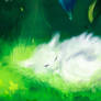 White Fox