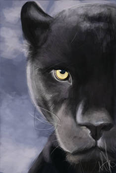 Black Panther