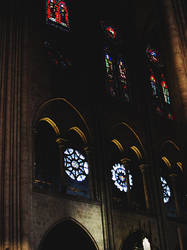 Lights in Notre Dame