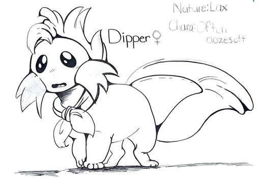 PMD: Dipper
