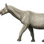 Paraceratherium