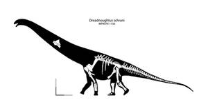 Dreadnoughtus schrani