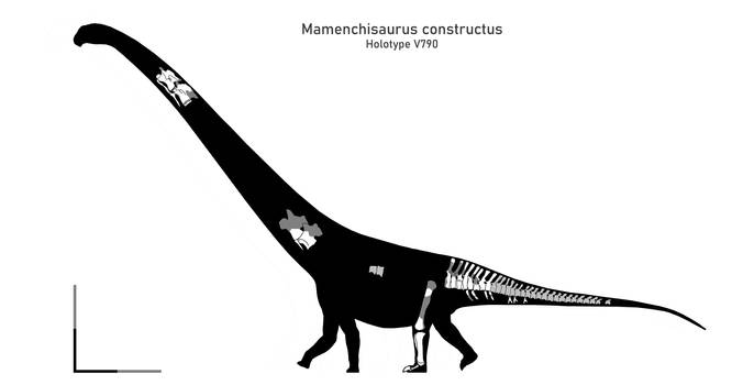 The OG Mamenchisaur