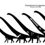 Ruyangosaurus001