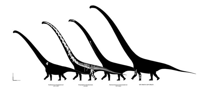 Big Sauropods of Xinjiang