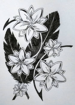 Frangipani tattwo