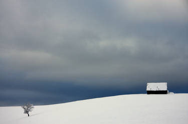 Winter landscape