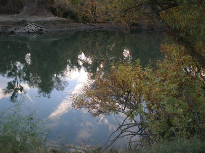 Reflections in Water Stock