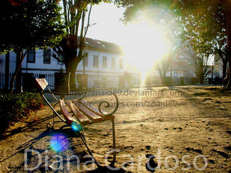 Sun in the bench