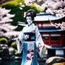 The Geisha #5