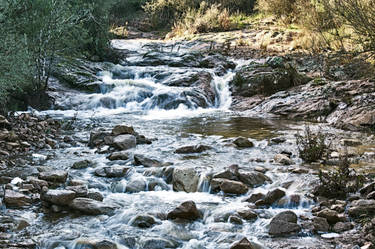 Mudizza Piana. Sardinia