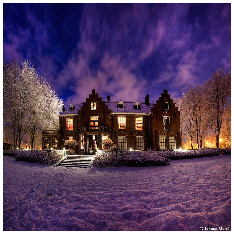 Purple for Pleasure by JeRoenMurre