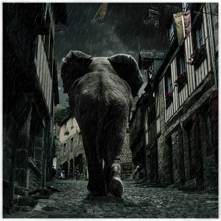 Elephant Street by JeRoenMurre