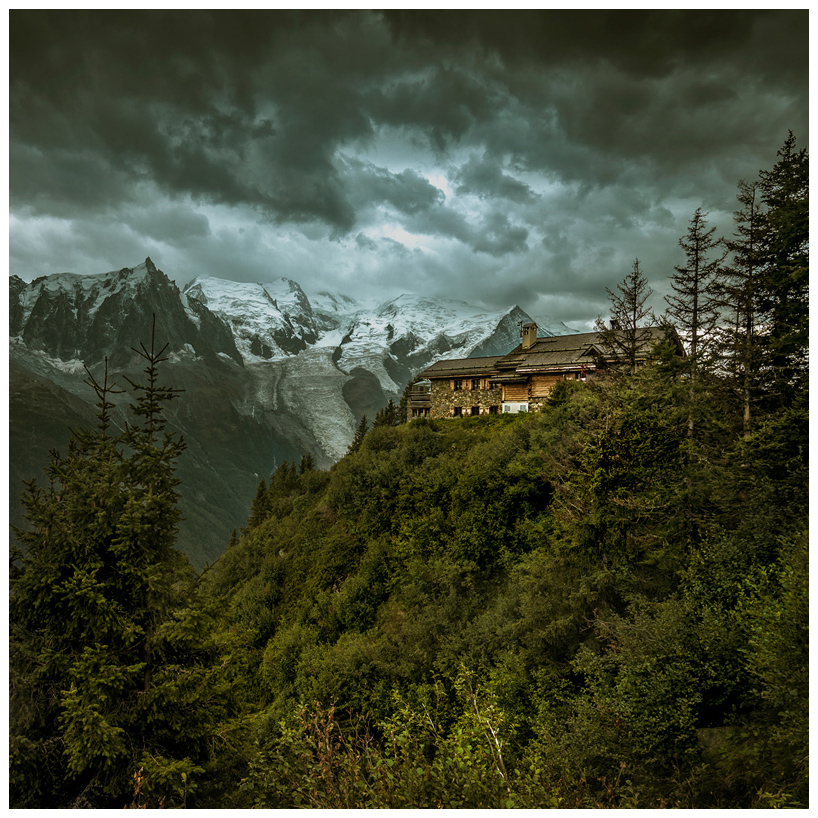 Peak-a-Boo by JeRoenMurre