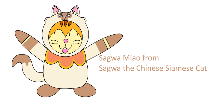 Stan + Sagwa Miao Costume Hamtaro