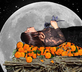 Marigolds and Moonlight