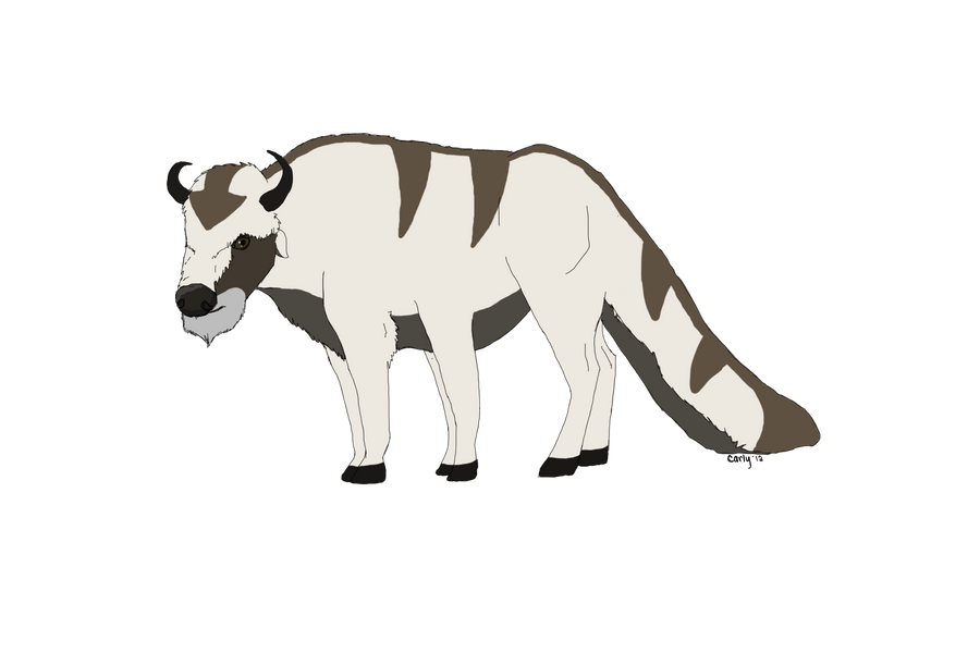Realistic Appa by LacrymosaWhispers on DeviantArt