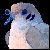 Pixel Dove