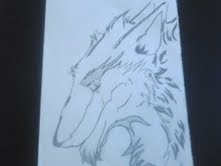 Sergal Portrait