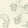 Raccoon Doodle Poses