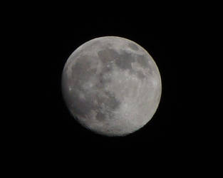 Halloween Moon 2009