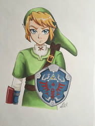 Link: Triforce Shield