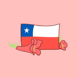 Chile Bandera lofi Cute
