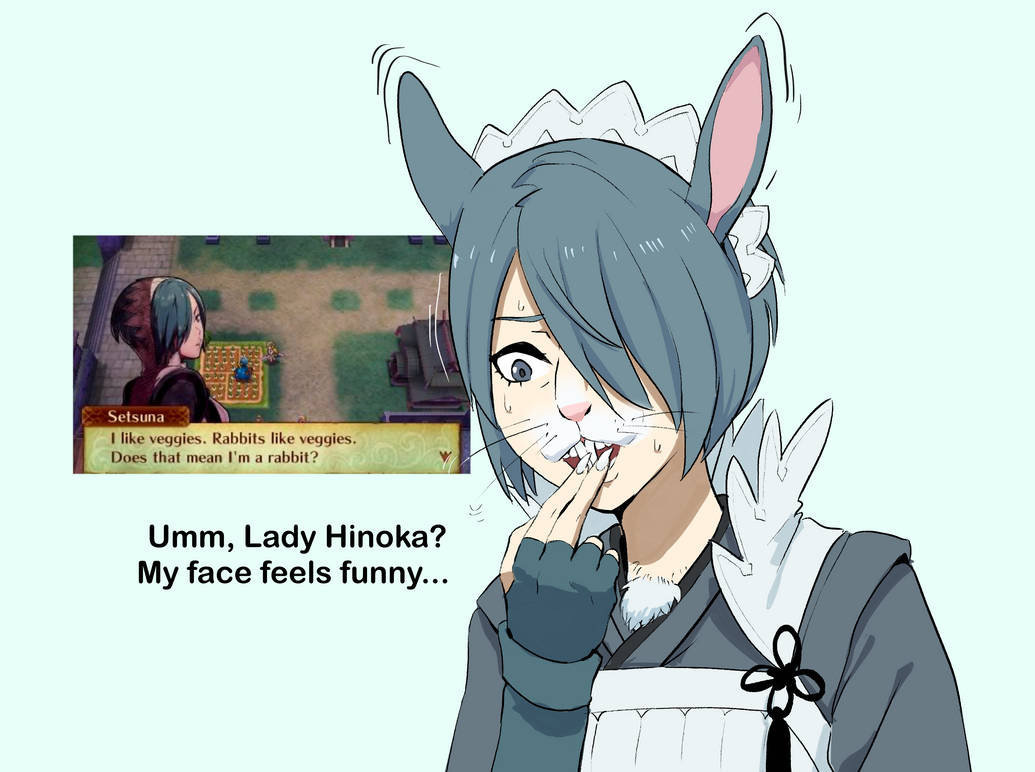 Rabbity Retainer (FE Fates TF) by DeliciousUnagi on DeviantArt