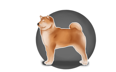 Shiba Inu