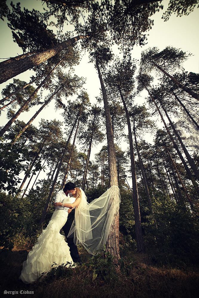 wedding photo