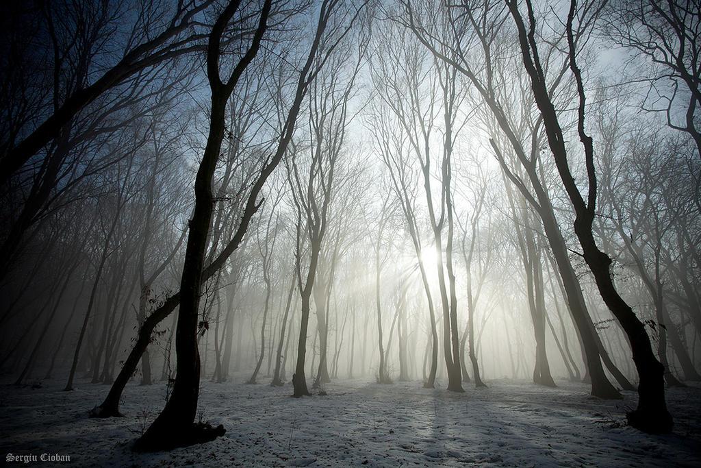 early mornin' fog by Sssssergiu