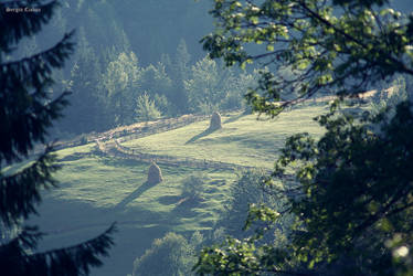 Apuseni Mountains Romania