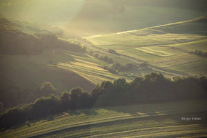 Transylvania