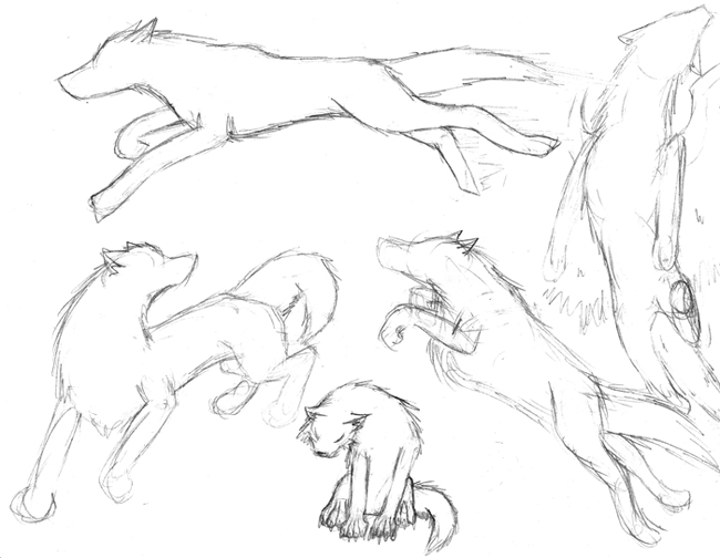 more wolf poses